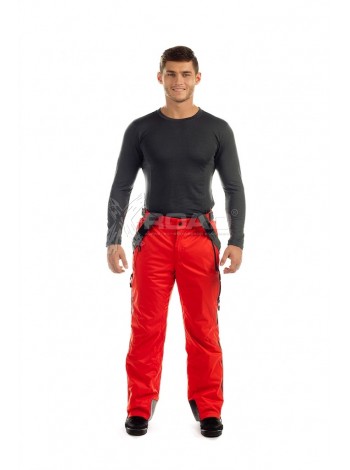 Штани гірськолижні чоловічі WHS №5343101