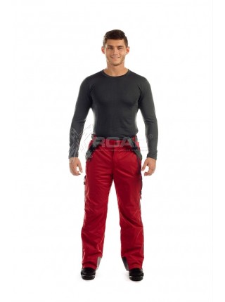 Штани гірськолижні чоловічі WHS 